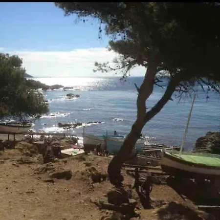 De Fabregas Proche Des Plages * La Seyne-sur-Mer