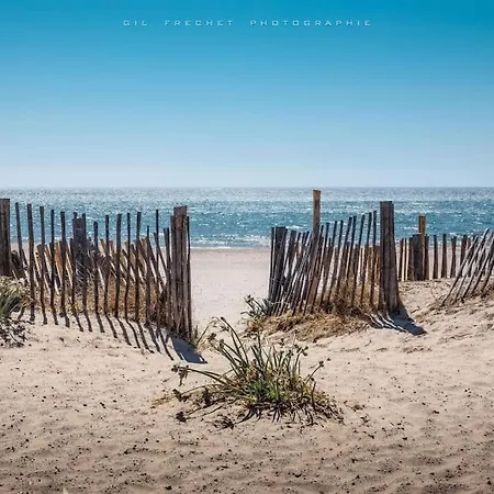 De Fabregas Proche Des Plages